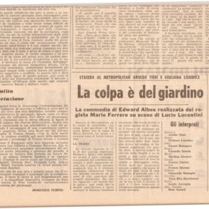 Violenza-EsprSera-DTempio-P-3-